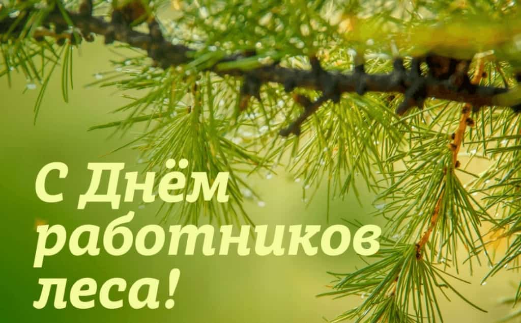 Бөгөн Урман хужалығы хеҙмәткәрҙәре көнө