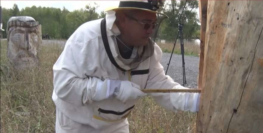 Башҡортостанда «Апимондия» конгресына әҙерлек дауам итә