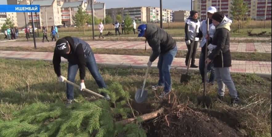 Республикала «Йәшел Башҡортостан» акцияһы старт алды