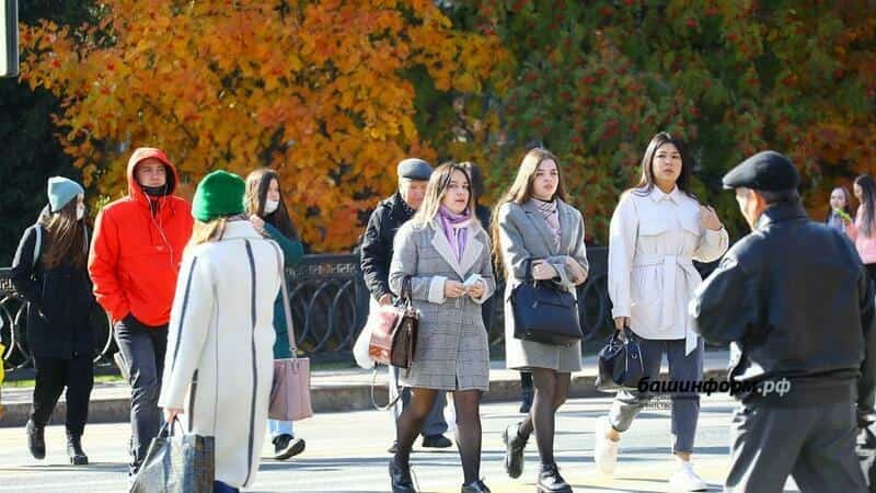 Республика халҡын ялған иҫәп алыусылар тураһында иҫкәртәләр