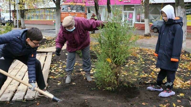 Башҡортостанда быйыл көҙ 2 миллион ағас үҫентеһе ултыртылған
