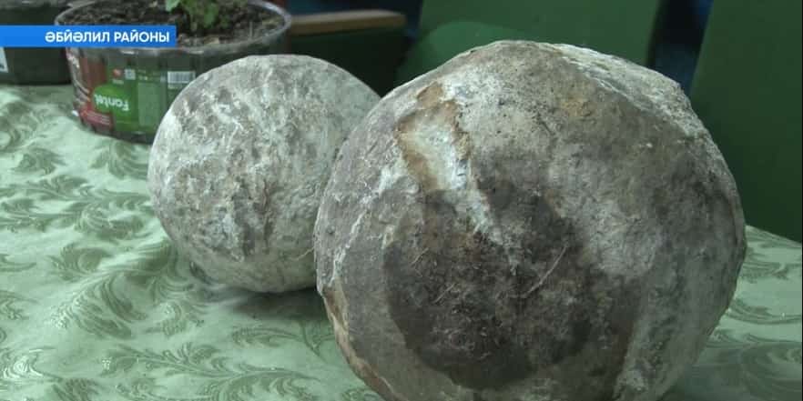 Миллиондарса йыл һаҡланған ҡомартҡы