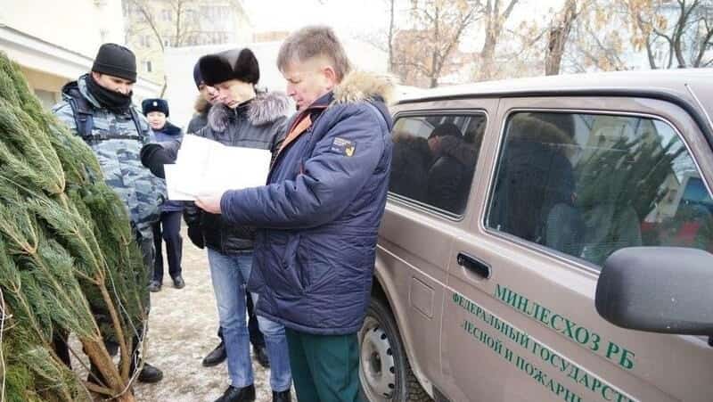 Республикала  “Шыршы” операцияһы башлана