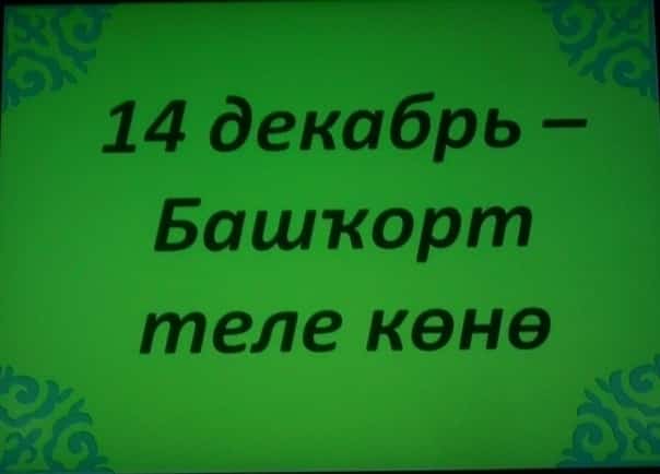 Өфөлә "Башҡорт теле – яңы ҡараш” проекты менән таныштыралар