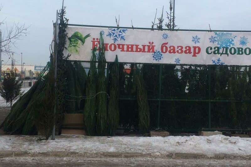 Республикала шыршы һатыуға  сығарылды