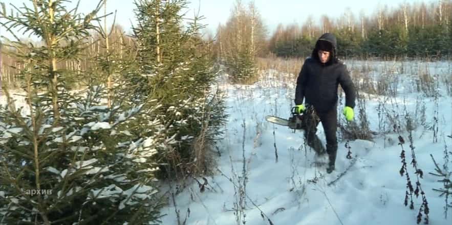 Башҡортостанда “Шыршы” операцияһы дауам итә