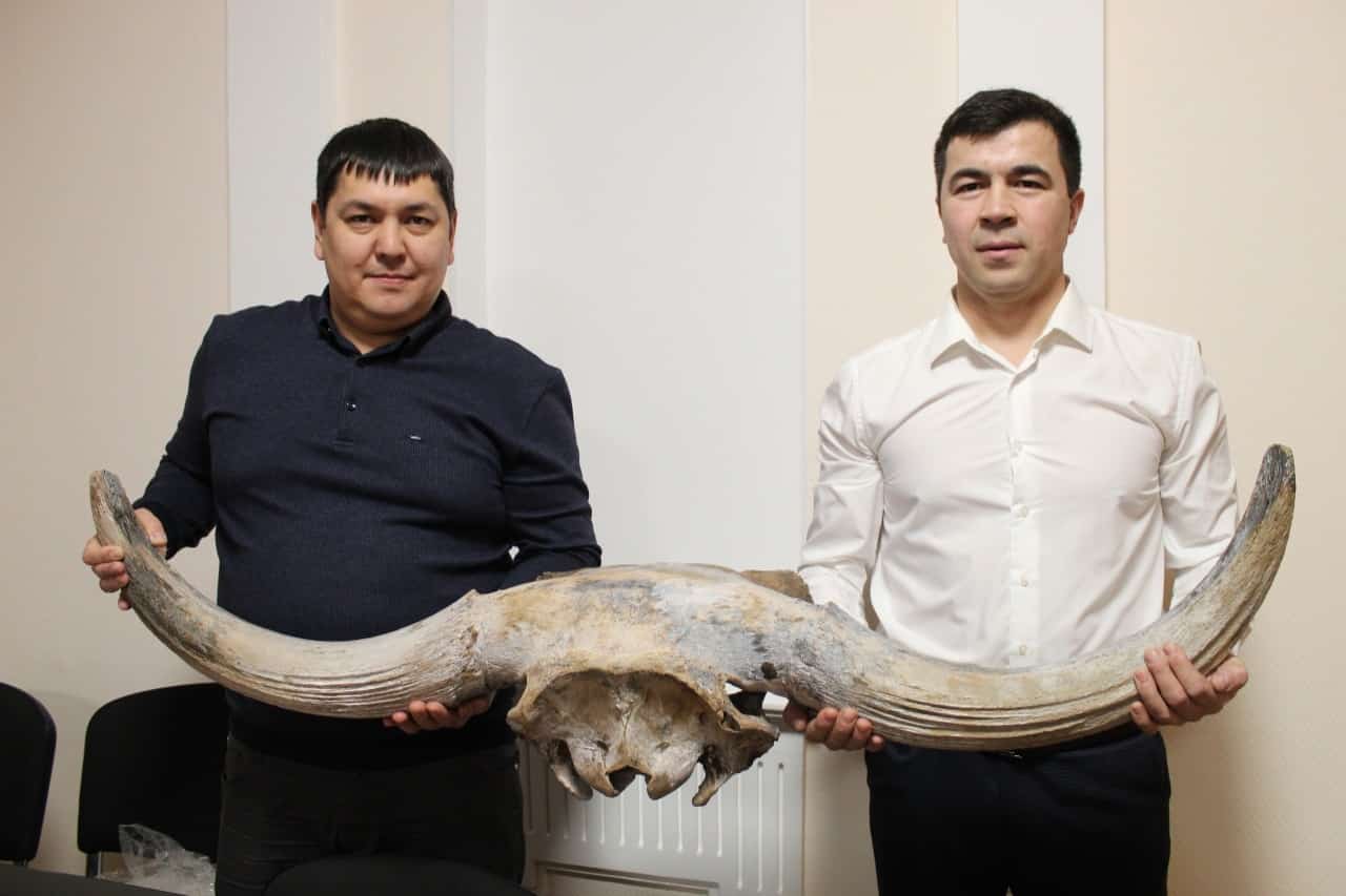 "Шүлгәнташ" музейына яңы экспонат  килде