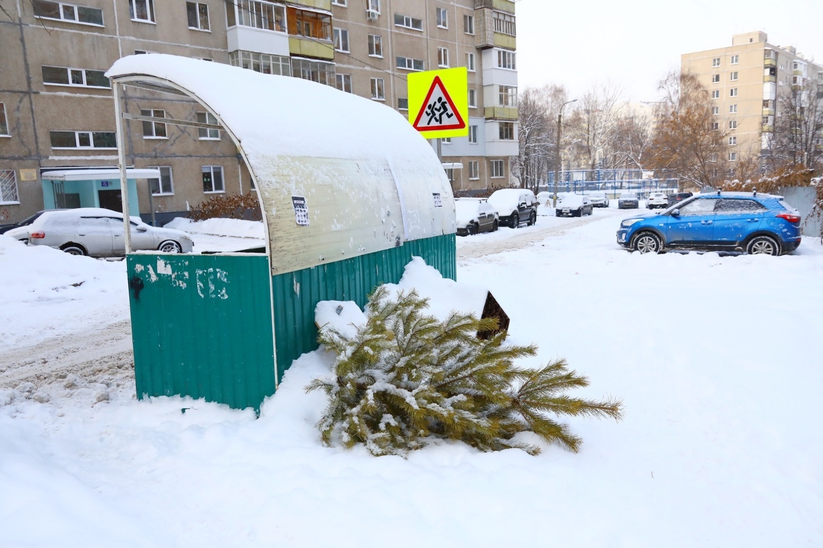 Өфөлә Яңы йыл шыршыларын утилләштереү урындары ағастарҙы ҡабул итә башлай