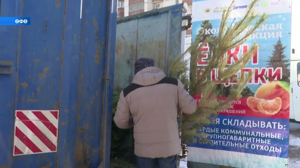 Яңы йыл байрамдарынан һуң һәр ғаилә экологик акцияла ҡатнаша ала