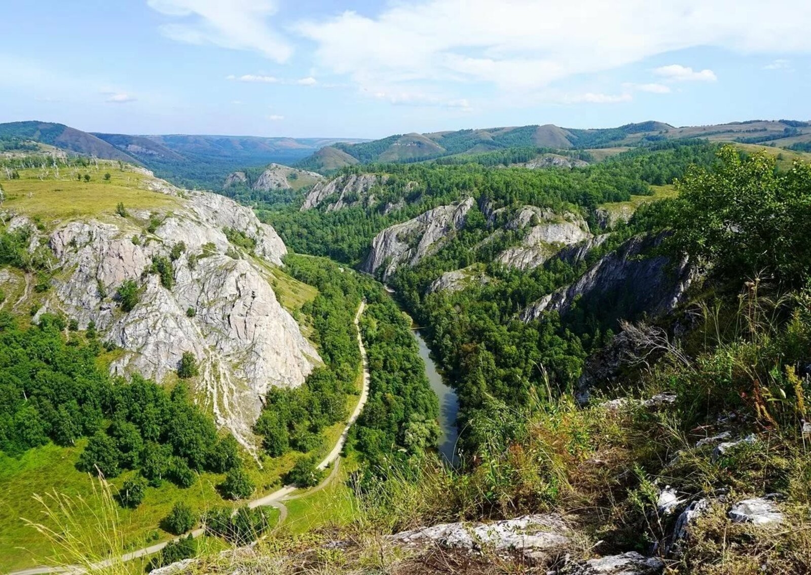Башҡортостанда зубрҙар үрсетеү өсөн “Мораҙым тарлауығы” тәбиғәт биләмәһе һайланды