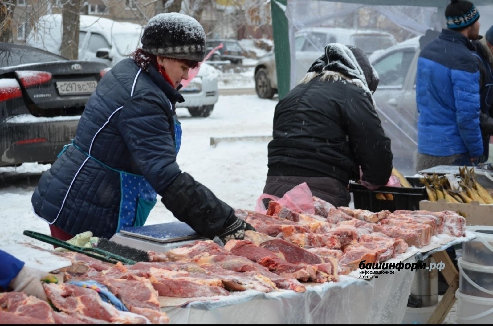 Башҡортостан ит, һөт һәм шәкәр менән үҙен тулыһынса тәьмин иткән