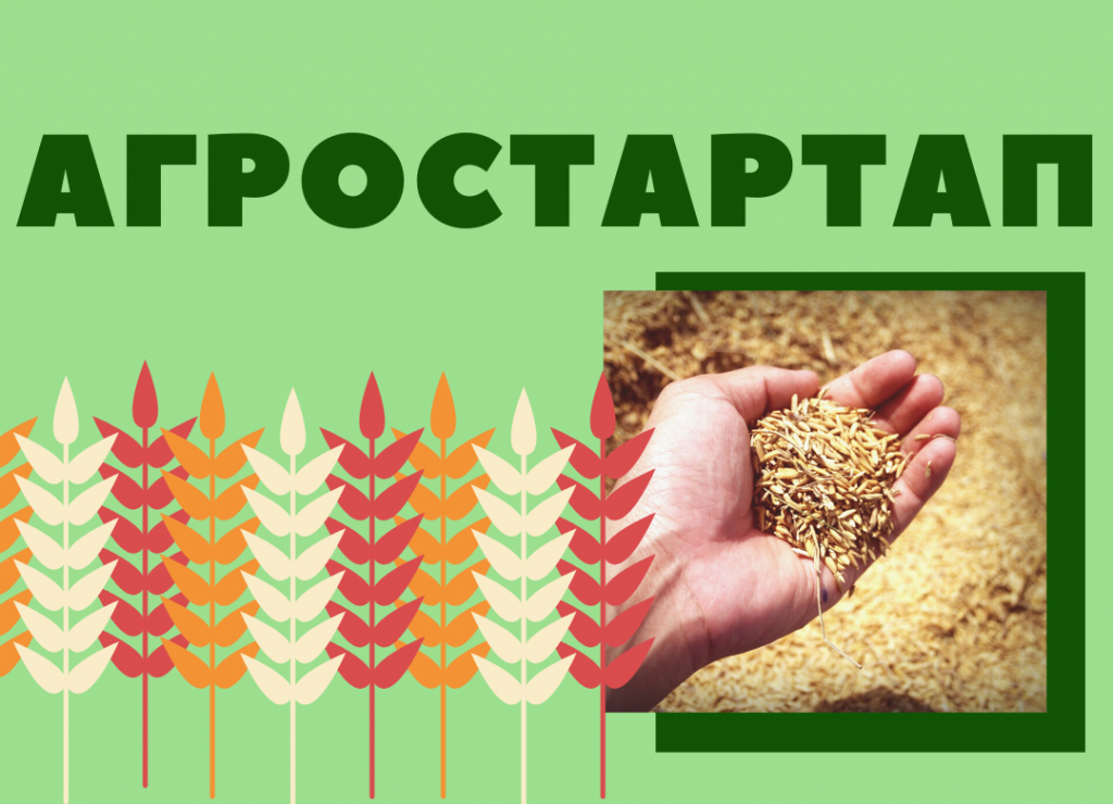 Ауыл хужалығы министрлығы "Агростартап" конкурсында грант алырға теләүселәрҙән ғаризалар ҡабул итә