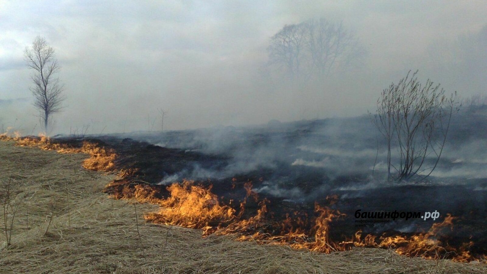 Башҡортостан биләмәләрендә ут сығыу осраҡтары бар