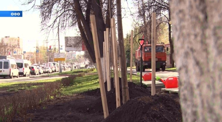 Баш ҡалала сираттағы ағас ултыртыу буйынса экология акцияһы уҙҙы