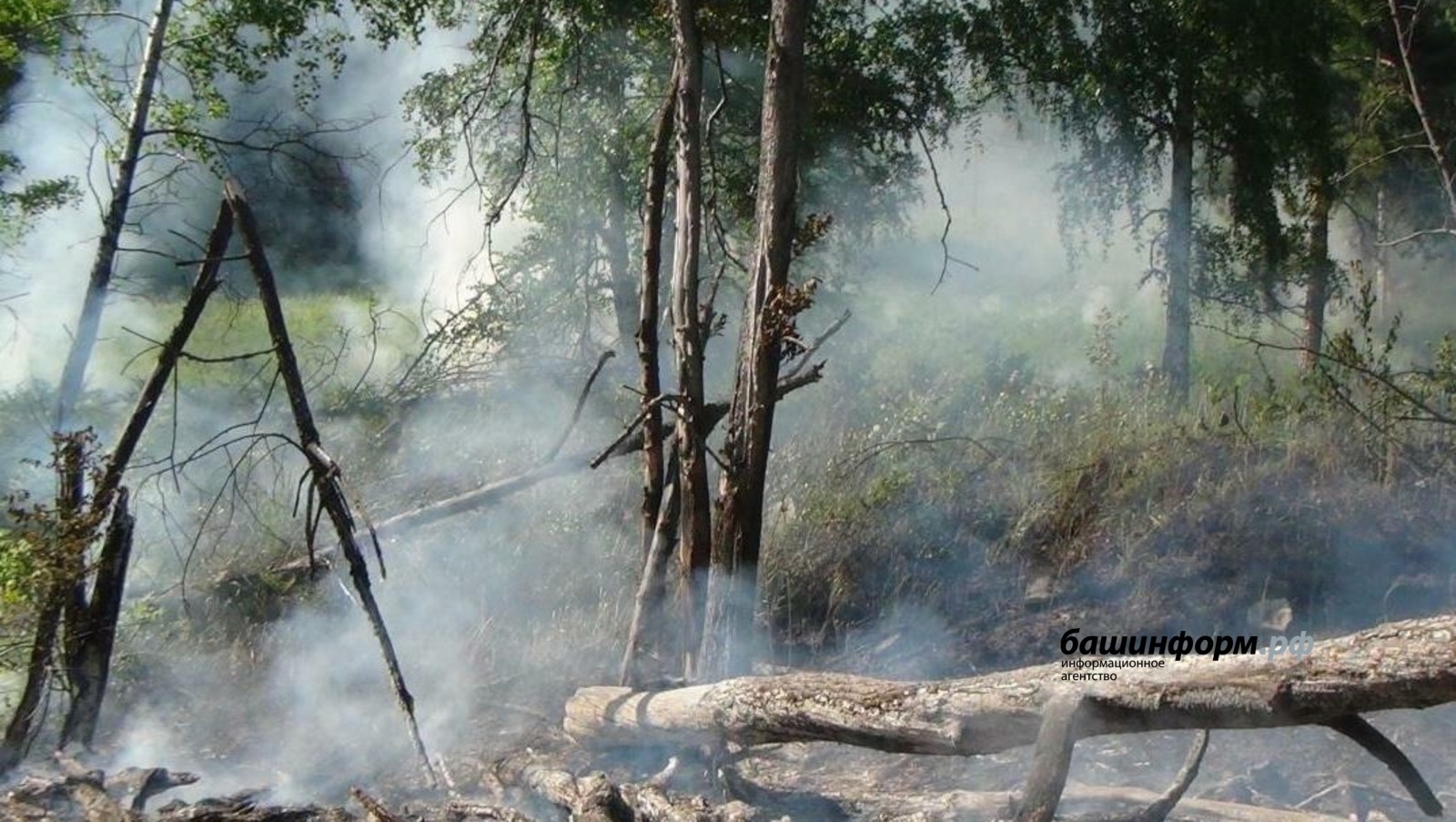 Башҡортостан урман биләмәләрендә янғын хәүефе миҙгеле башланғандан алып 12 урында ут сыҡҡан