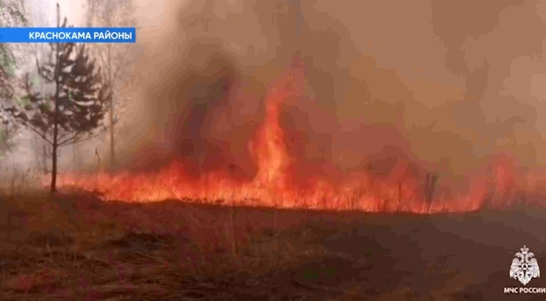 Краснокама районы Ивановка ауылы эргәһендә ҡоро үлән яна