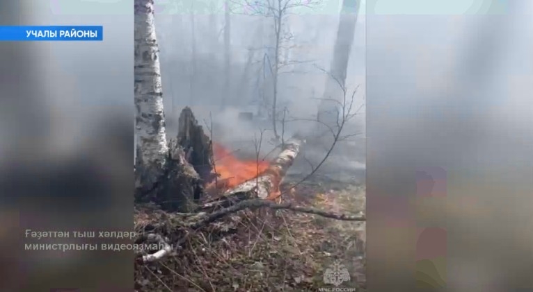 Әбйәлил районында 2 көн дауам иткән урман янғыны һүндерелде