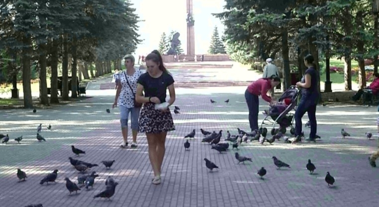 Башҡортостан халҡын ҡоштар иҫәбен алыуҙа ҡатнашырға саҡыралар