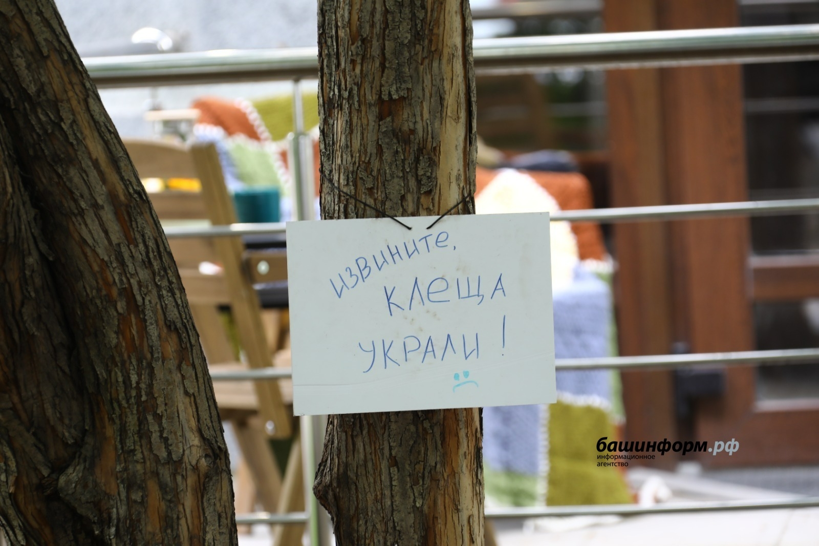 Өфөлә урлап алып кителгән Валера ҡушаматлы талпанға яңы һәйкәл ҡуйыла