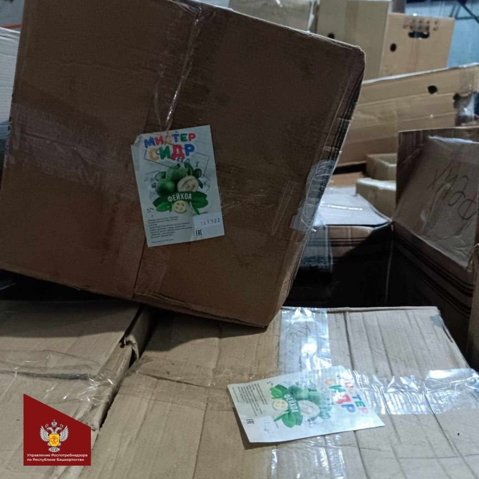 Башҡортостанда ғүмер өсөн хәүефле "Мистер Сидр" табылды