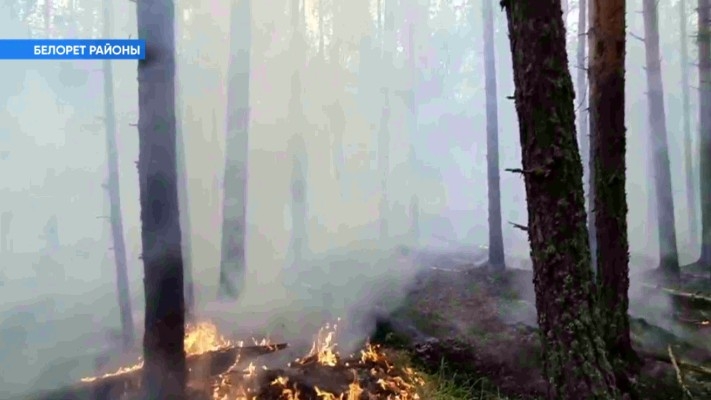 Республиканың ғәҙәттән тыш хәлдәр буйынса дәүләт комитеты биргән мәғлүмәт буйынса 8 урында урман яна