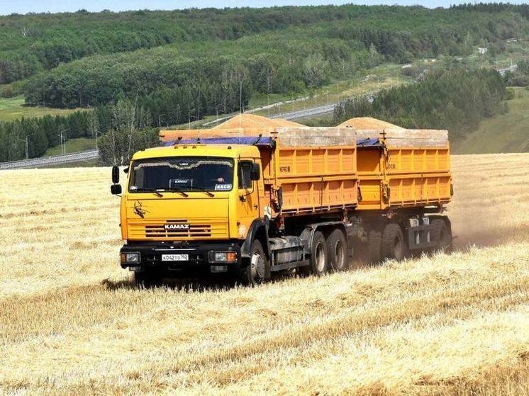Республика  баҫыуҙарында 100 мең тонна иген һуғылған