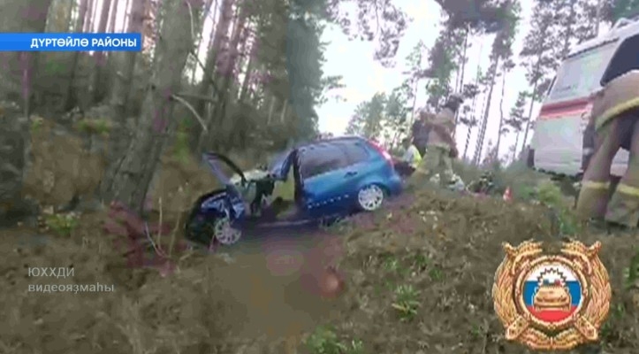 Дүртөйлө районында мышы ҡатнашлығында авария теркәлгән