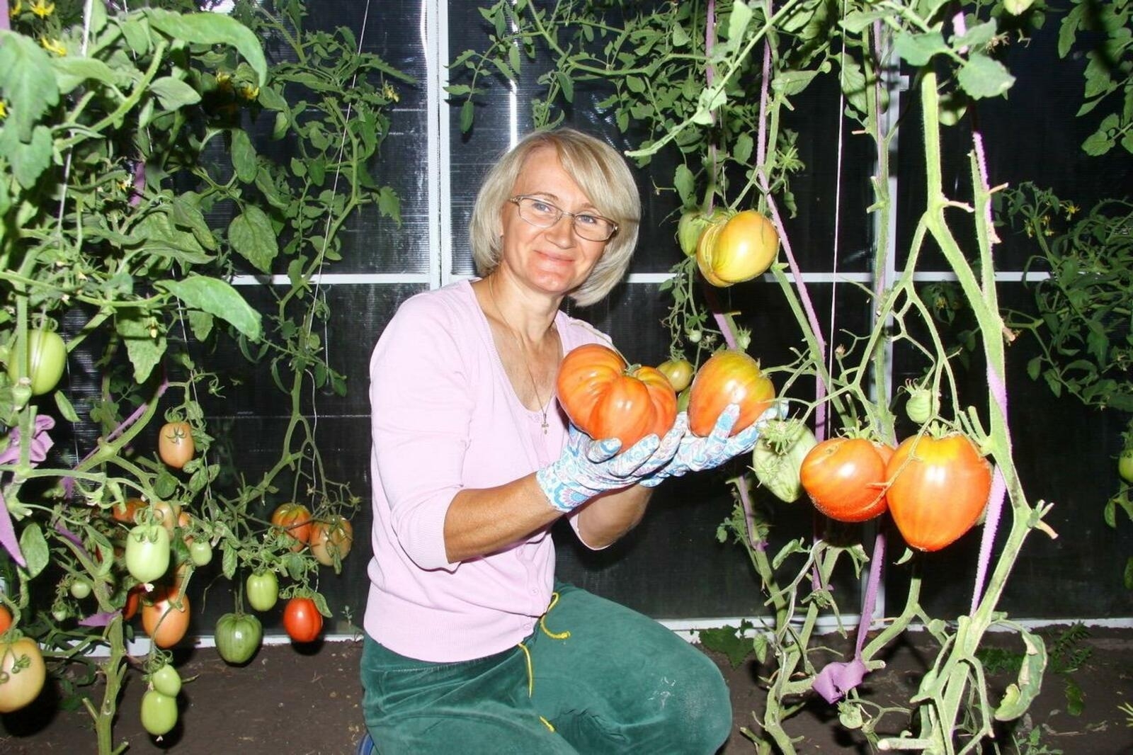 Башҡортостанда  баҡсасылар өсөн Республика Башлығы гранттары  биреү тәртибе раҫланды