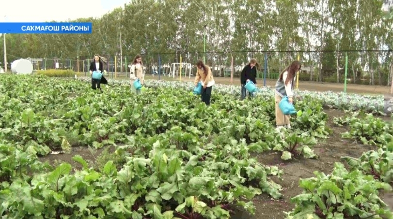 Саҡмағош районы мәктәбе үҙ продукцияһын мәктәп туҡланыуында ҡулланыу тәжрибәһе менән уртаҡлашты