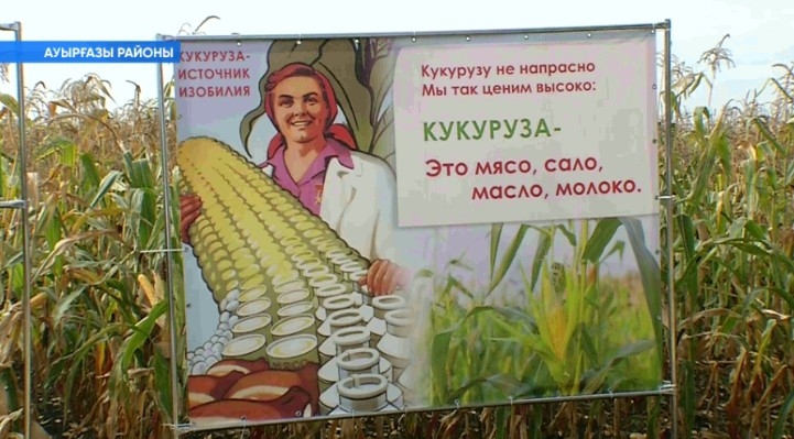 Киләһе өс йылда Башҡортостанда соя баҫыуҙары майҙаны 10 тапҡырға арттырылырға тейеш