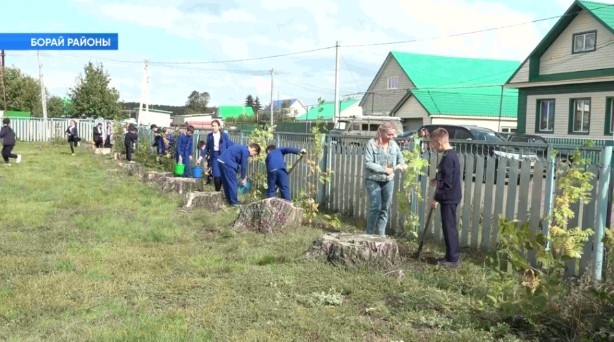 Борай ауылында остаздарға аллея барлыҡҡа килде