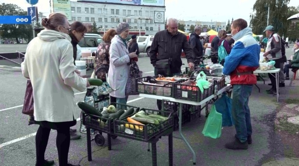 Бөгөн һәм алдағы ял көндәре республиканың 31 район-ҡалаһында ауыл хужалығы йәрминкәләре үтә