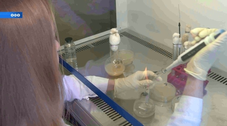 Өфө ғалимдары ауыл хужалығы өсөн яңы ашлама уйлап сығарған