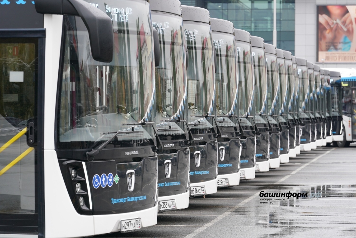 Бөгөн "Башавтотранс" предприятиеһына 50 яңы автобус тапшырылды