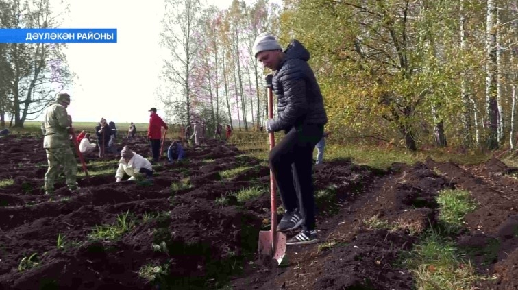 Дәүләкән районында «Йәшел Башҡортостан» акцияһы үтте