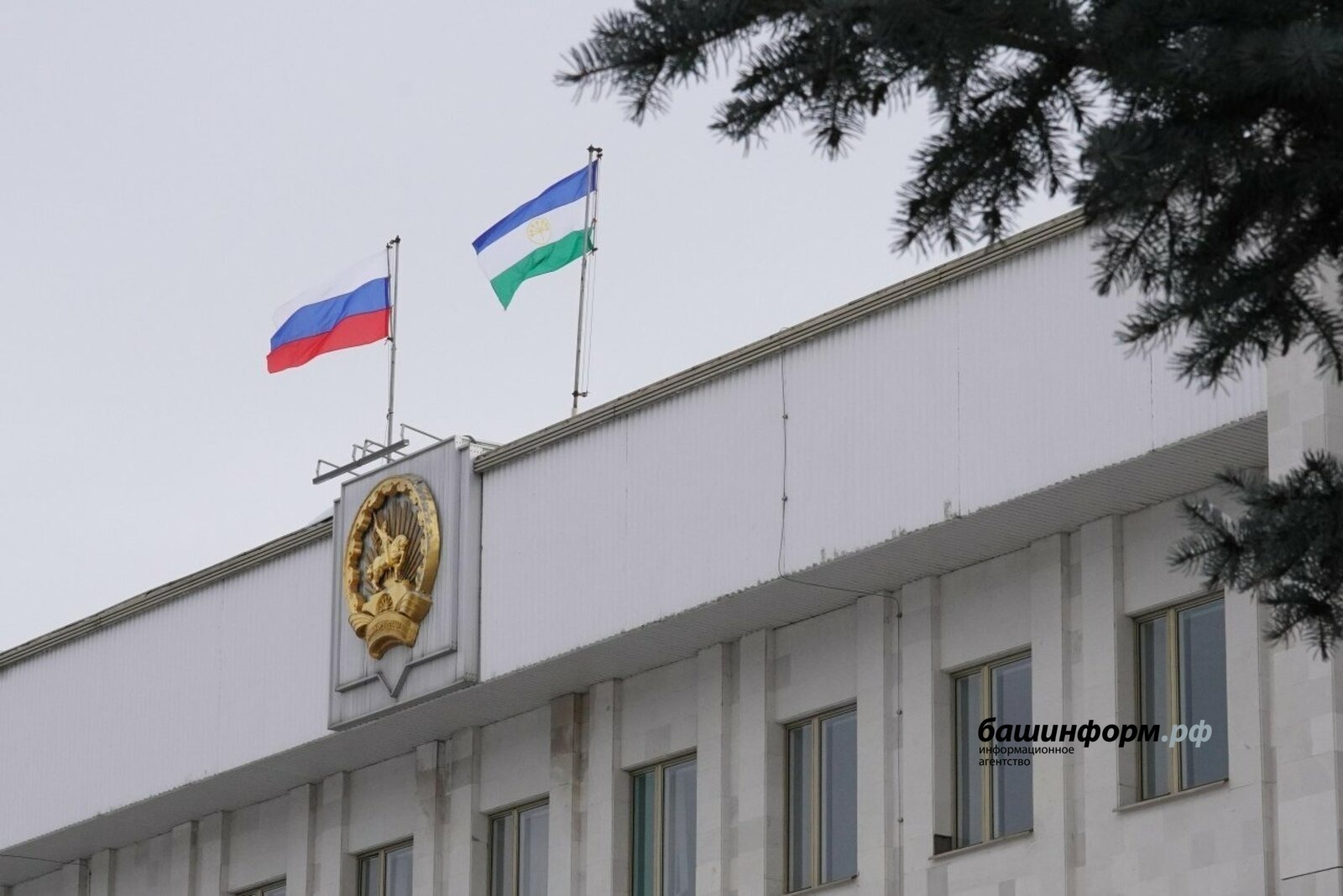Башҡортостанда сидр һәм һыра һатыусыларға контроль арта