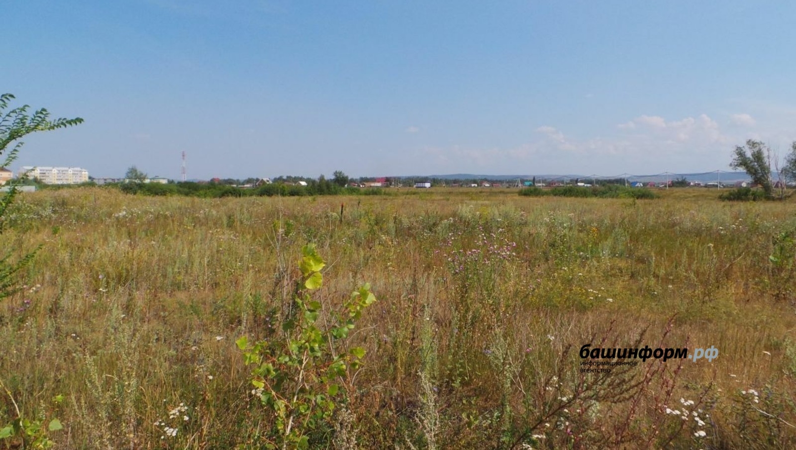 Башҡортостанда айырыуса ҡыйыулыҡ күрһәткән яугирҙәргә ер бушлай бирелә