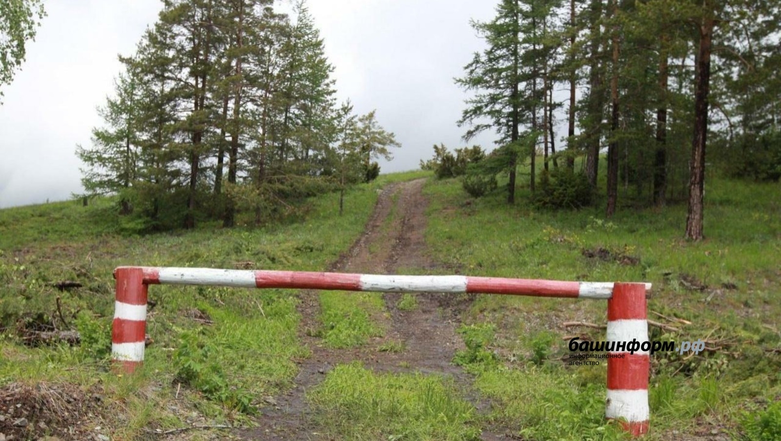 Башҡортостанда айырыуса һаҡланған яңы тәбиғәт биләмәләре барлыҡҡа килә