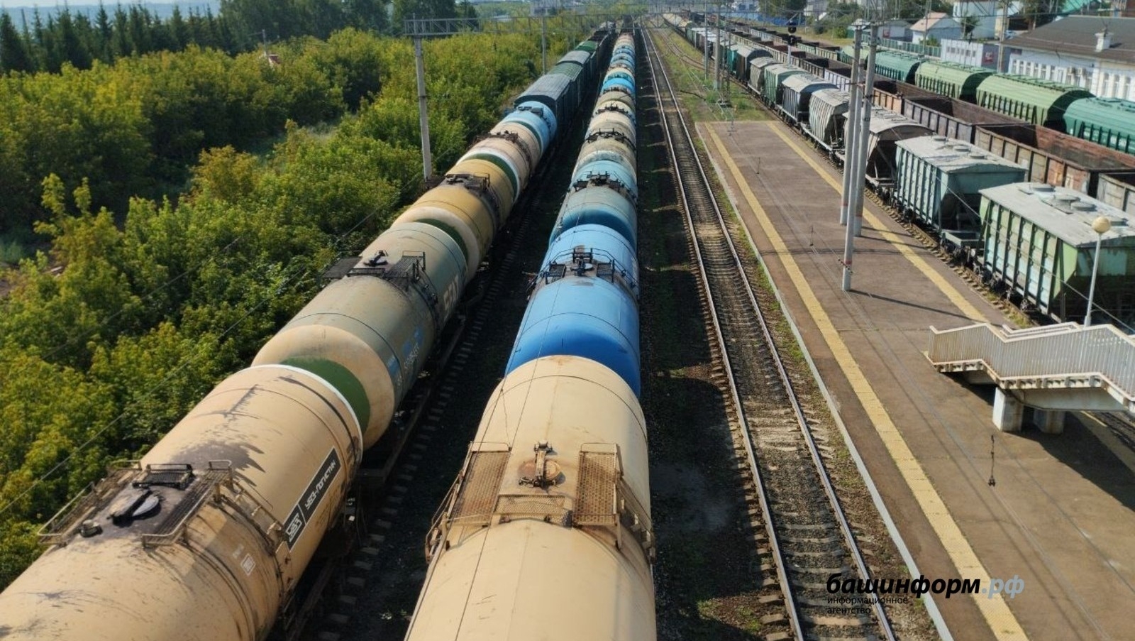 Башҡортостан Ҡытайға ауыл хужалығы тауарҙары һатыуҙы арттыра
