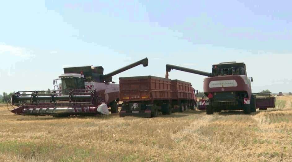 2023 йылда Башҡортостан ауыл хужалығы нисек үҫешкән