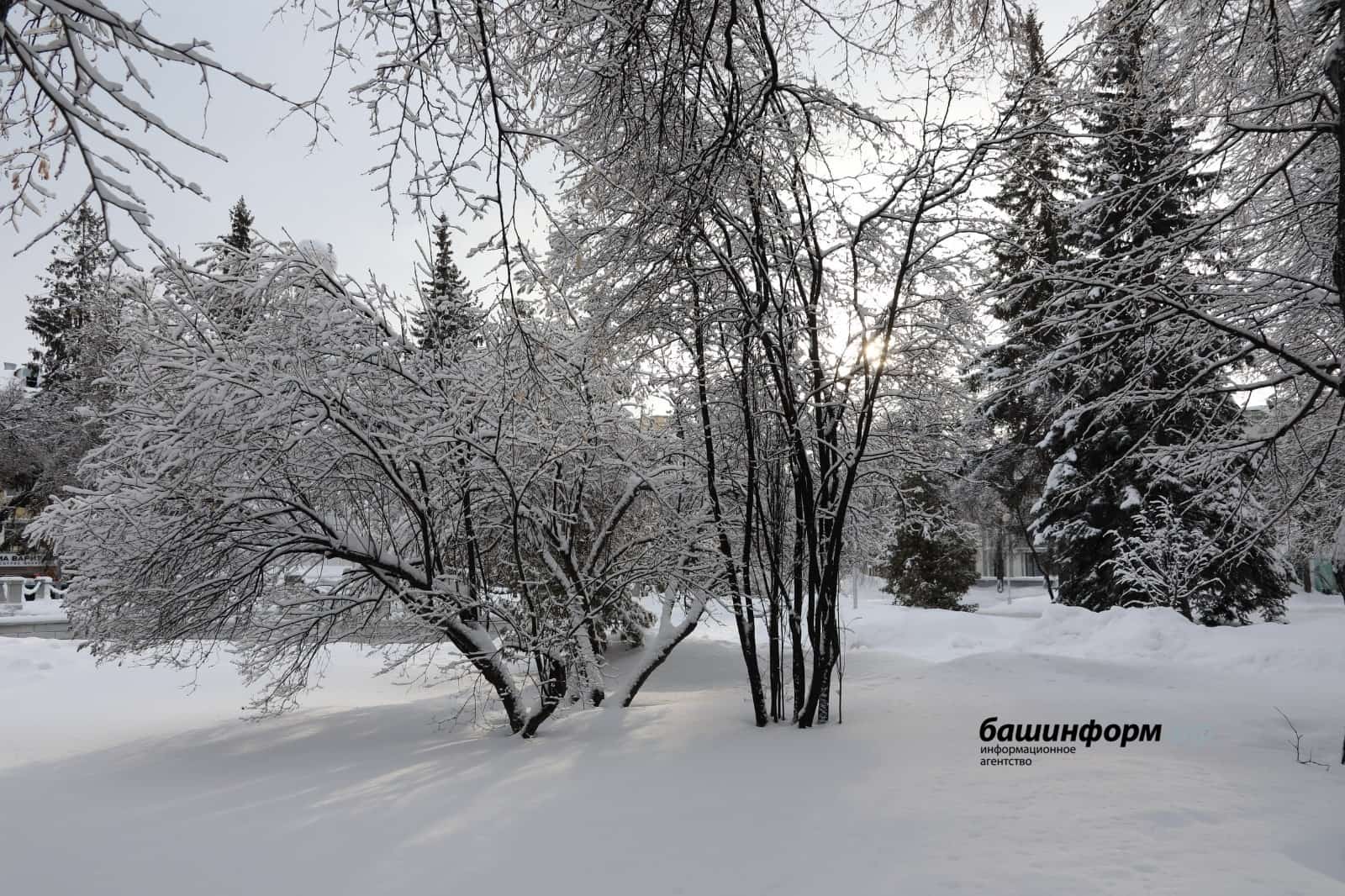 Республикала  айырыуса һаҡланған яңы тәбиғәт биләмәләре барлыҡҡа килә