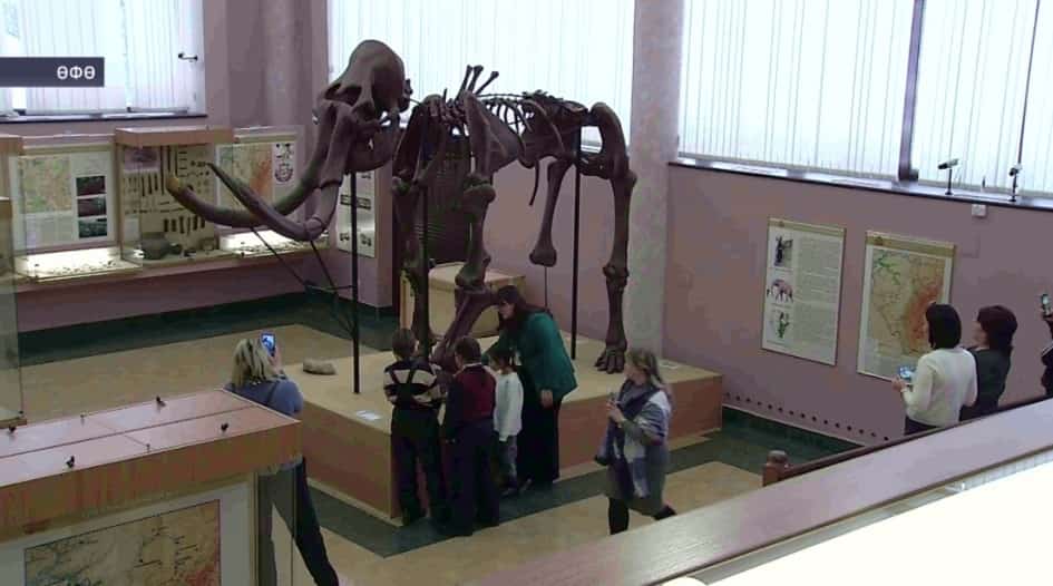 Радий Хәбиров 2024 йылды мөмкинлектәре сикләнгән кешеләр хаҡында хәстәрлек күреү йылы тип иғлан итте