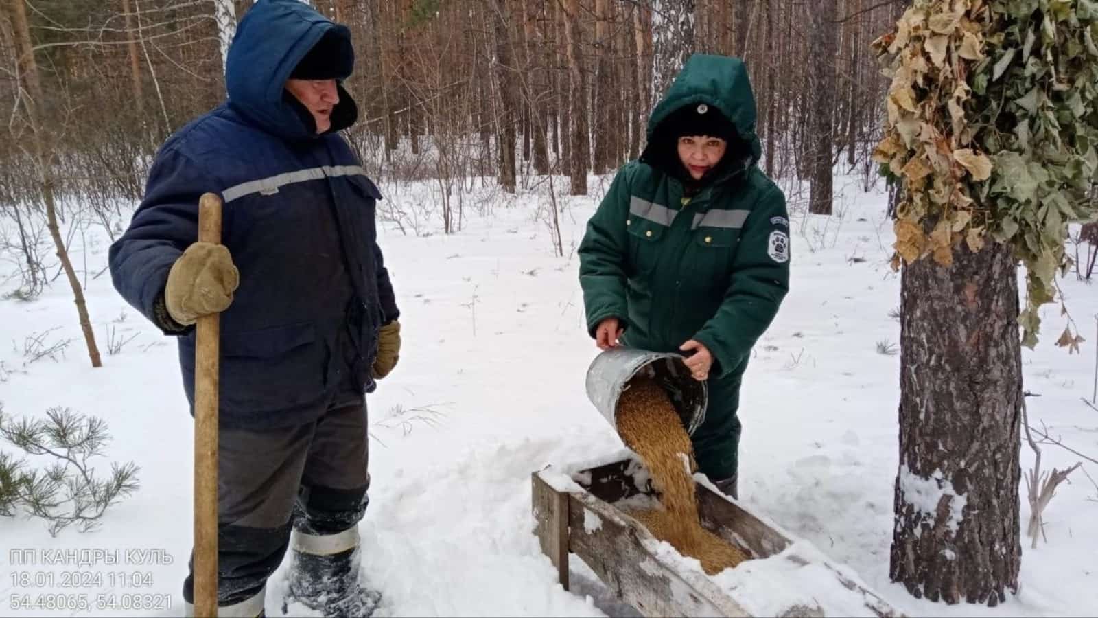 Республикала ҡырағай хайуандар өсөн 170 тонна аҙыҡ әҙерләнгән