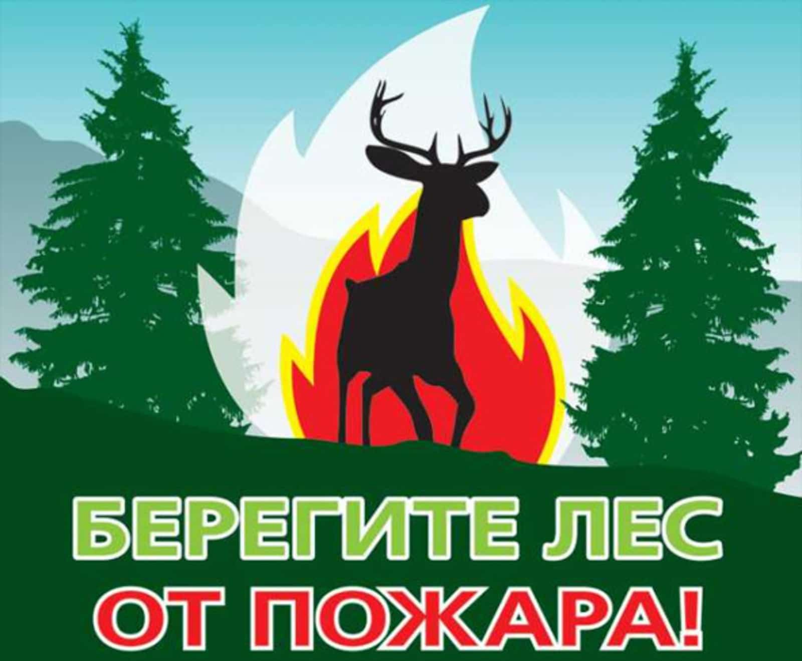 Башҡортостанда быйыл урман янғындары менән көрәш планы билдәле булды