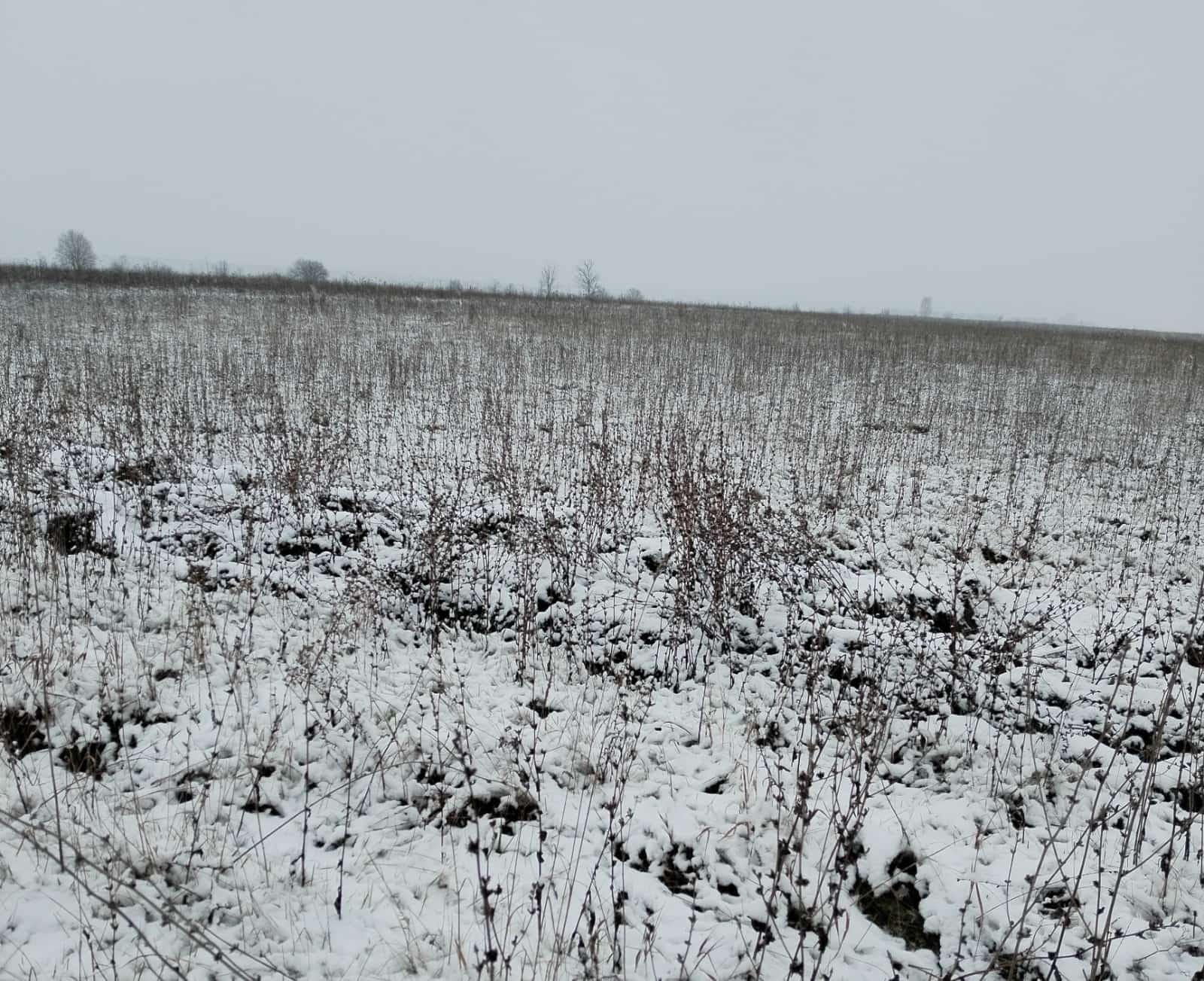Күгәрсен районында рөхсәтһеҙ өс сүплек юҡ ителгән