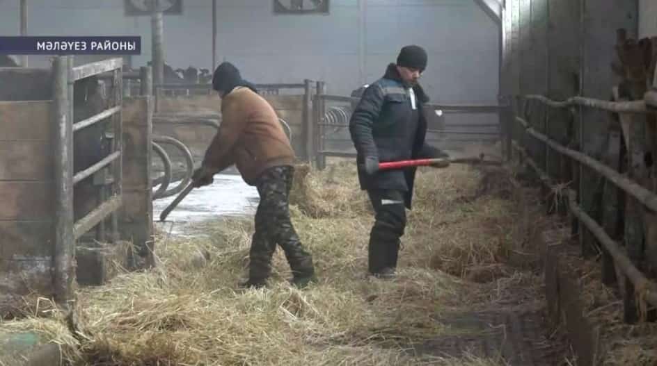 Ауыл хужалығында эшләүсе йәш белгестәргә дәүләт ярҙамы