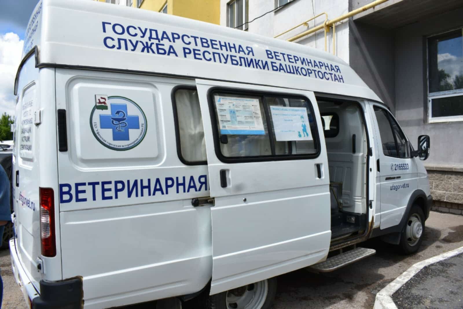 Республика мал табиптары Өфөгә йыйылды