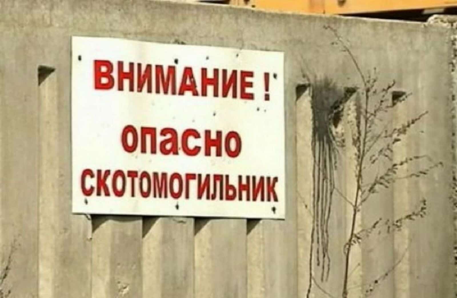Башҡортостанда апрелдә мал зыяраттарына бәйле закон ҡабул ителә
