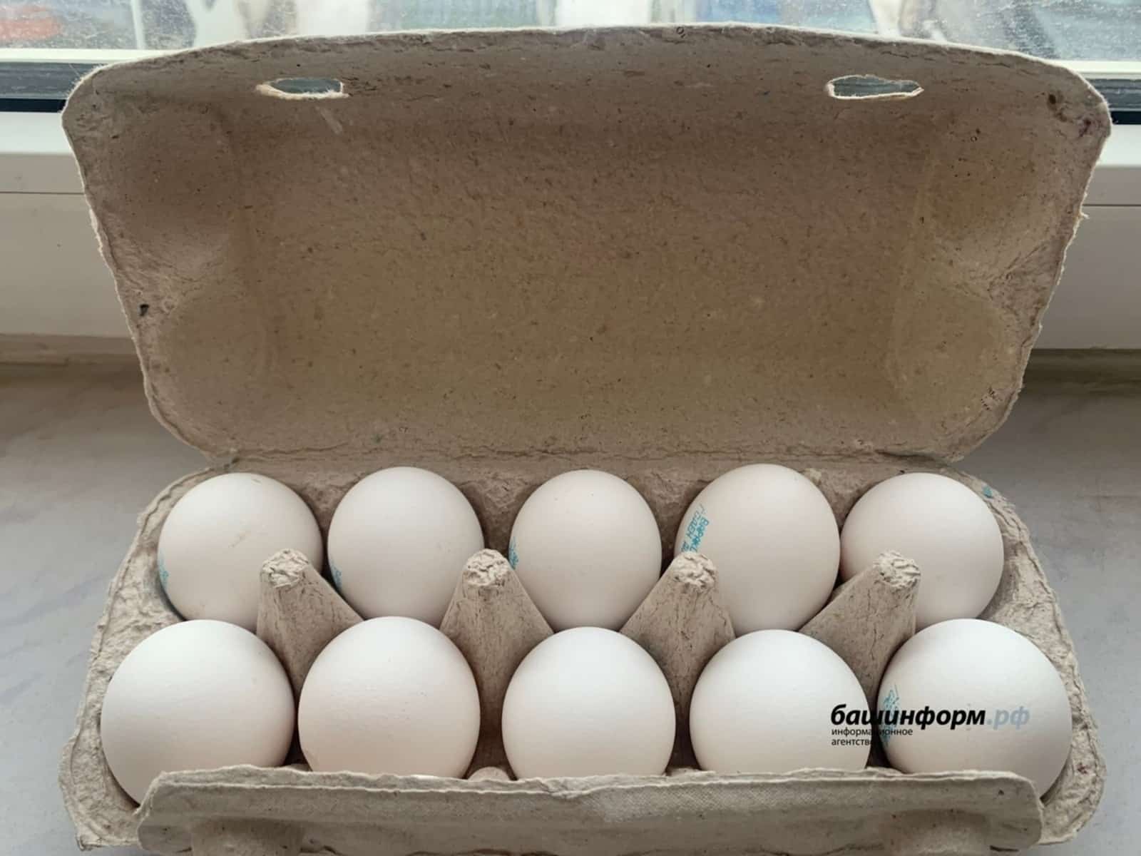Тауыҡ йомортҡаһының хаҡы күпме