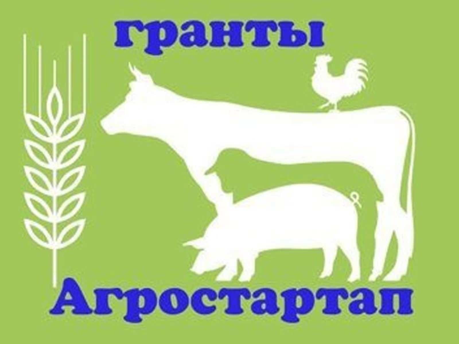 Башҡортостан фермерҙары “Агростартап” конкурсында ҡатнаша ала